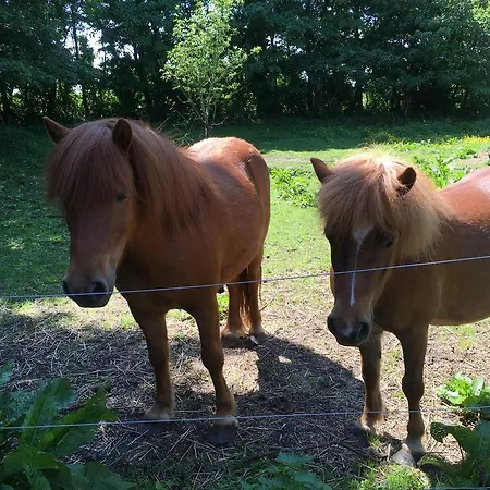 Ellekaer-gard Vendégház 2*