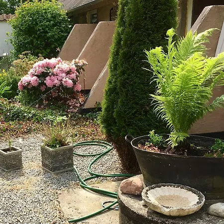 Ellekaer-gard Vendégház