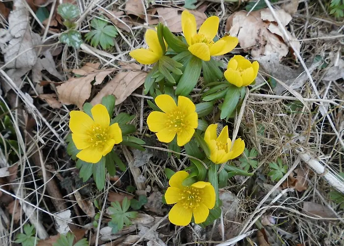 Ellekaer-gard 게스트하우스 드론닝룬드