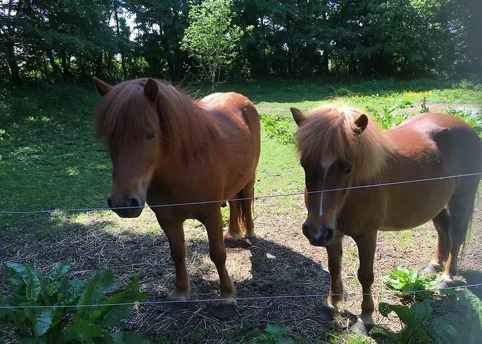 Ellekaer-gard 게스트하우스 2*