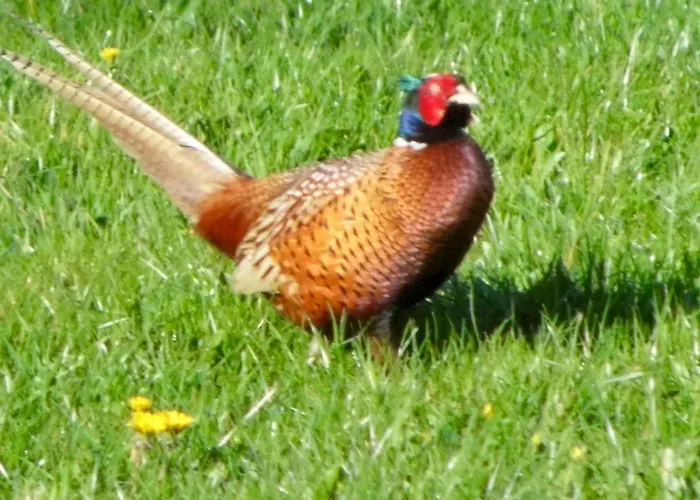 Ellekaer-gard 게스트하우스 2*